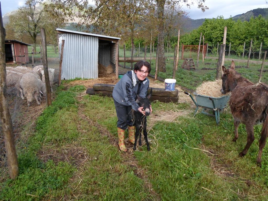 Azienda Agrituristica Pericle 몬텔라 외부 사진