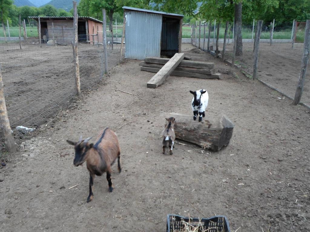 Azienda Agrituristica Pericle 몬텔라 외부 사진