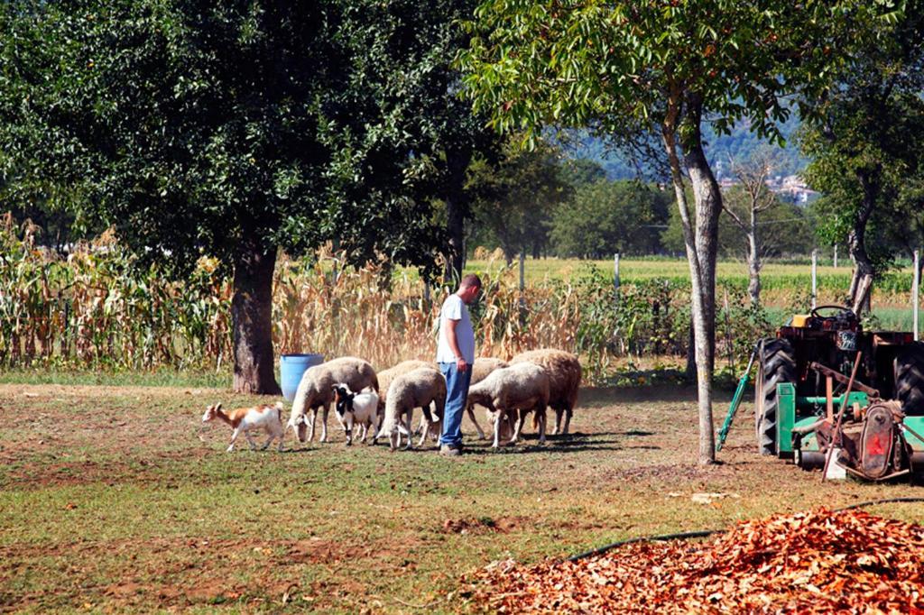 Azienda Agrituristica Pericle 몬텔라 외부 사진